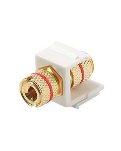 Steren 310-468WH Keystone Single Banana Binding Post Insert Audio Speaker Double Red Band White 5 Way Jack Connector Gold QuickPort Audio Signal Component Snap-In Wall Plate Module
